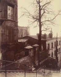 Escalier, Montmartre